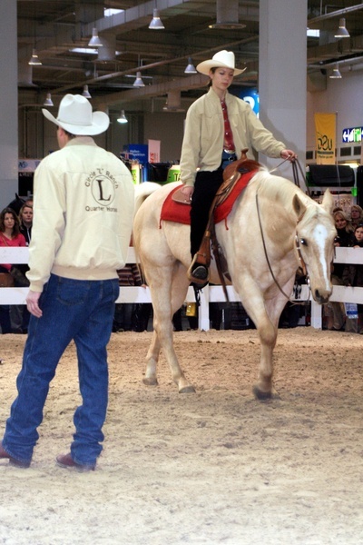 Pferd und Jagd 2008  053.jpg